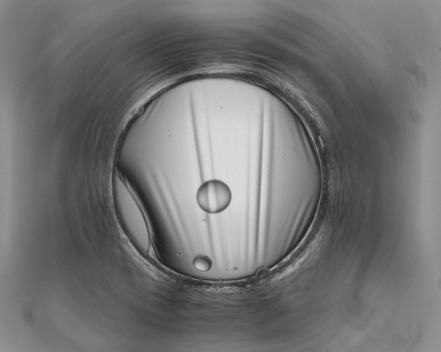 X0000111921417200908101212