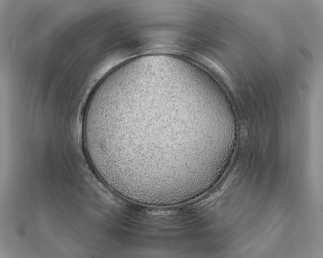 X0000111921419200908101212