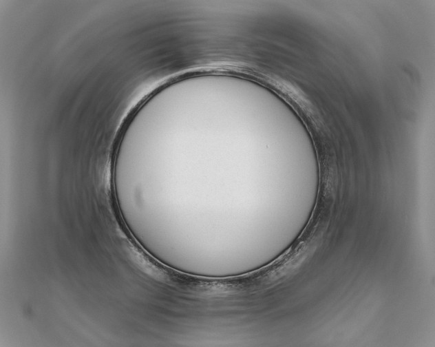 X0000111921420200908101212