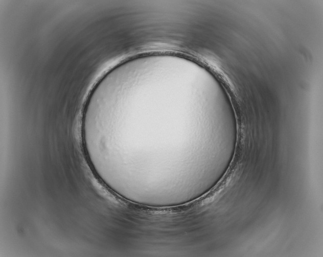 X0000111921421200908101212