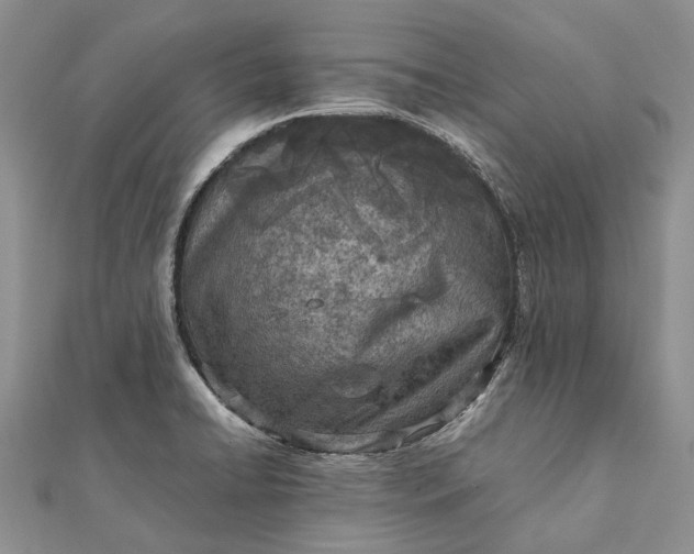 X0000111921422200908101212