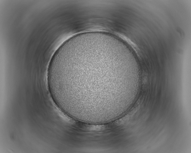 X0000111921423200908101212