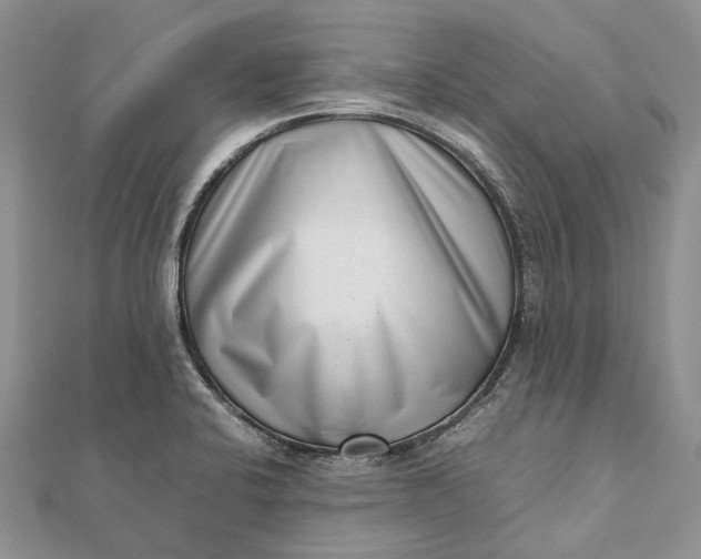 X0000111921424200908101212