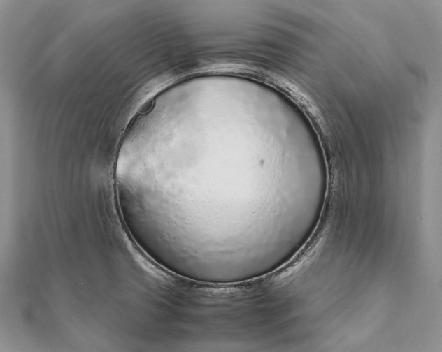 X0000111921425200908101212