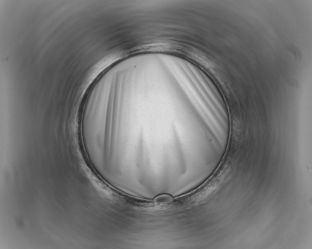 X0000111921426200908101212