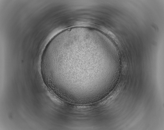 X0000111921427200908101212