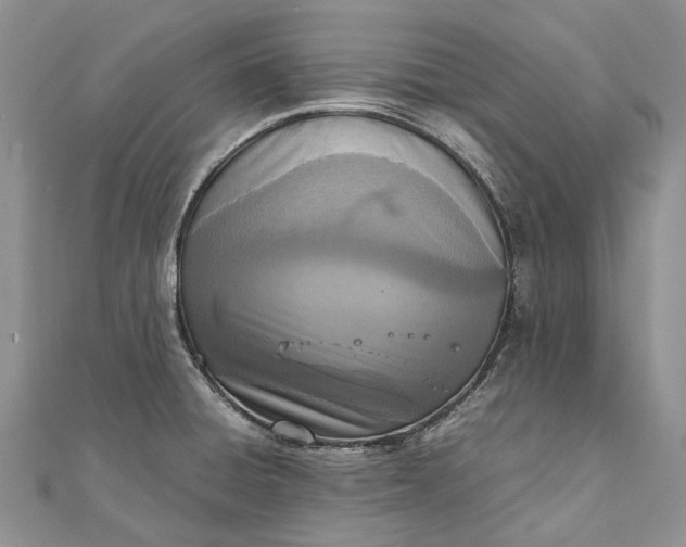 X0000111921428200908101212