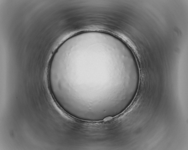 X0000111921429200908101212