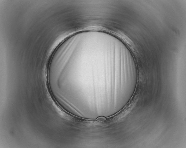 X0000111921430200908101212