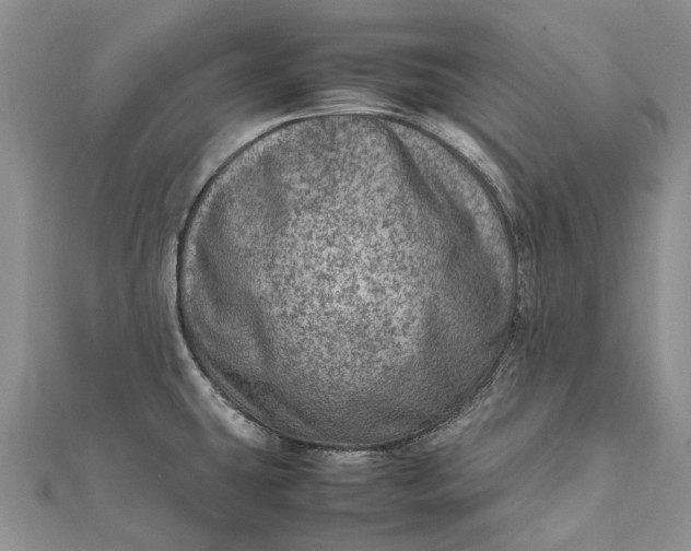 X0000111921431200908101212