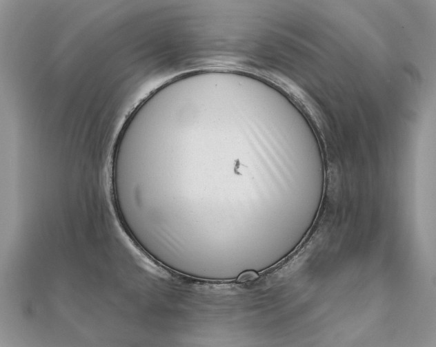 X0000111921432200908101212