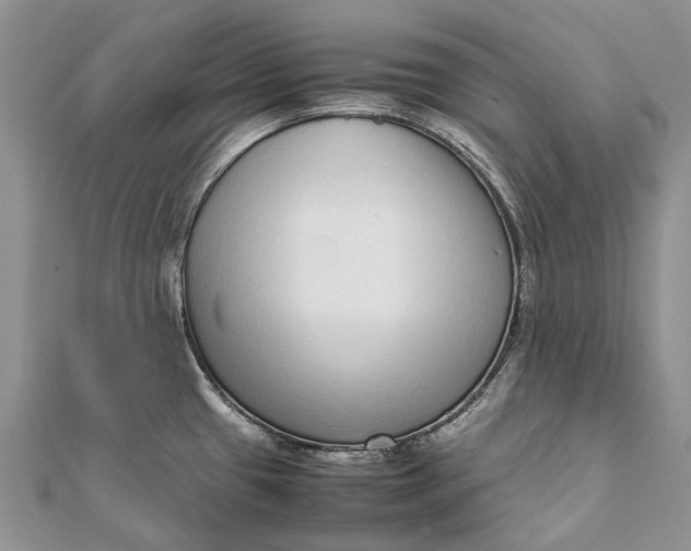 X0000111921433200908101212