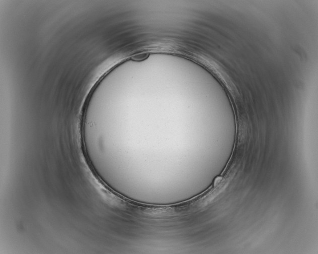 X0000111921434200908101212