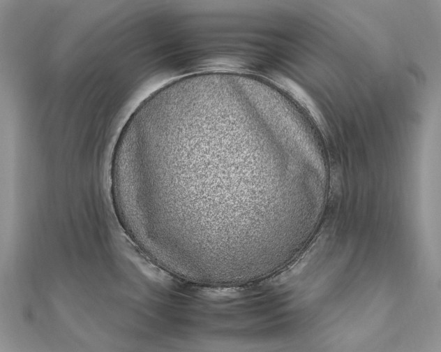 X0000111921435200908101212