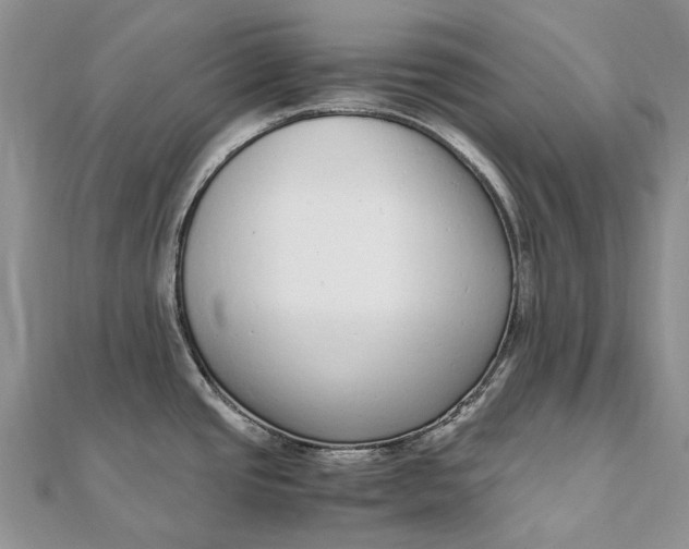 X0000111921437200908101212