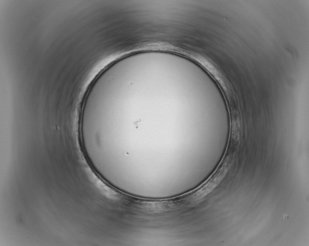 X0000111921438200908101212