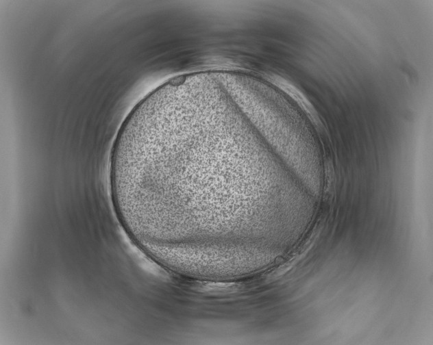 X0000111921439200908101212