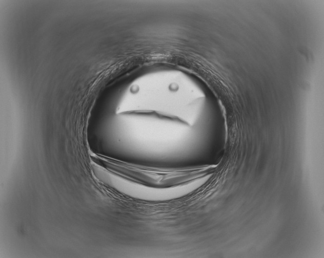 X0000111921441200908101211