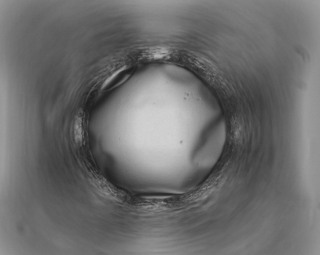 X0000111921442200908101211