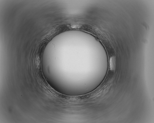 X0000111921443200908101211