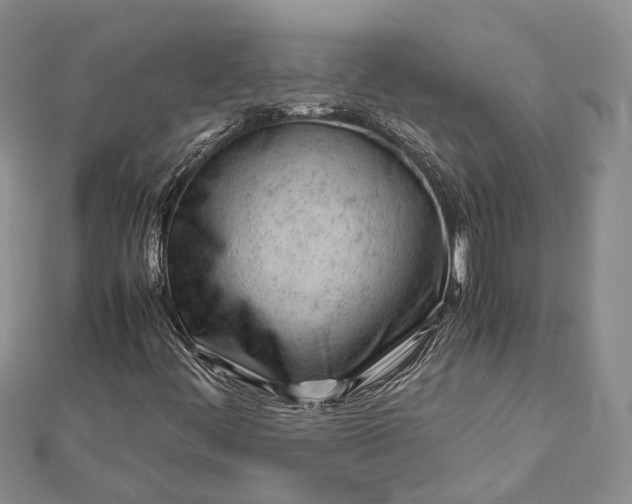 X0000111921444200908101211