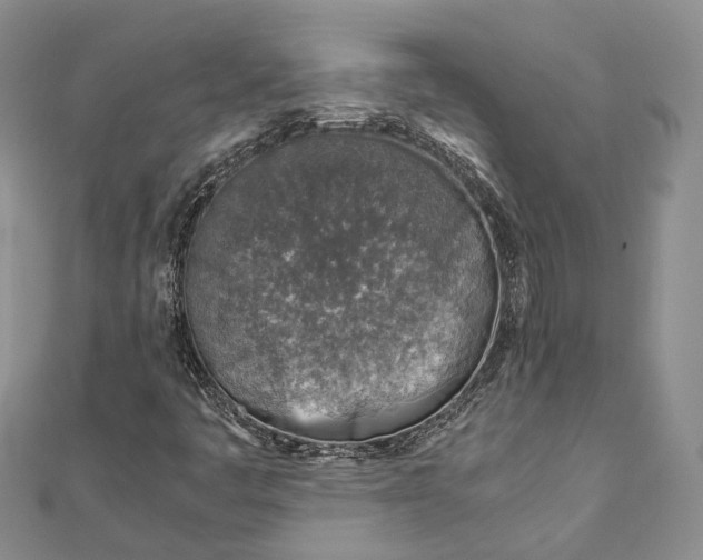 X0000111921445200908101211