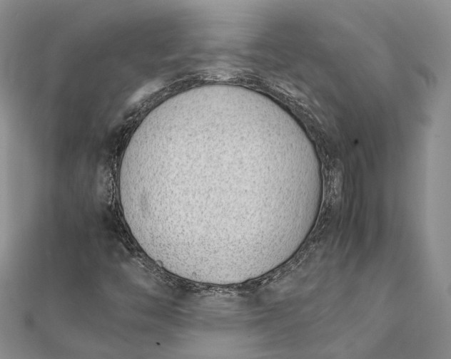 X0000111921446200908101211