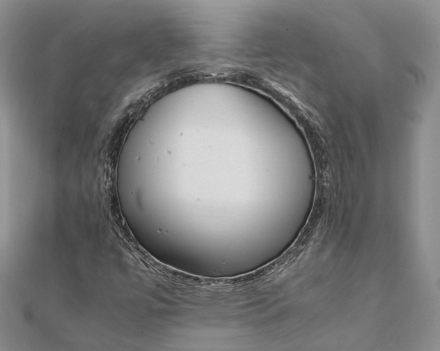 X0000111921447200908101211