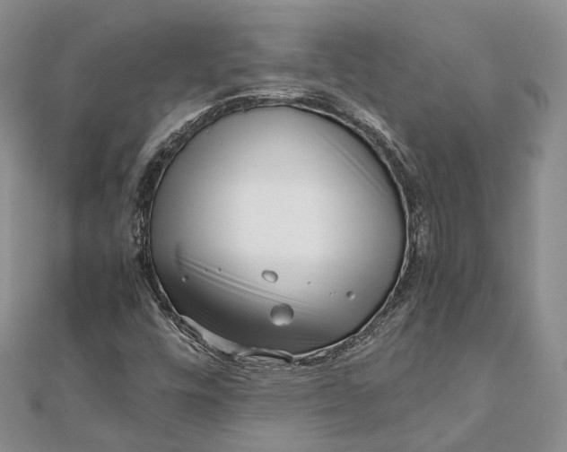 X0000111921448200908101211