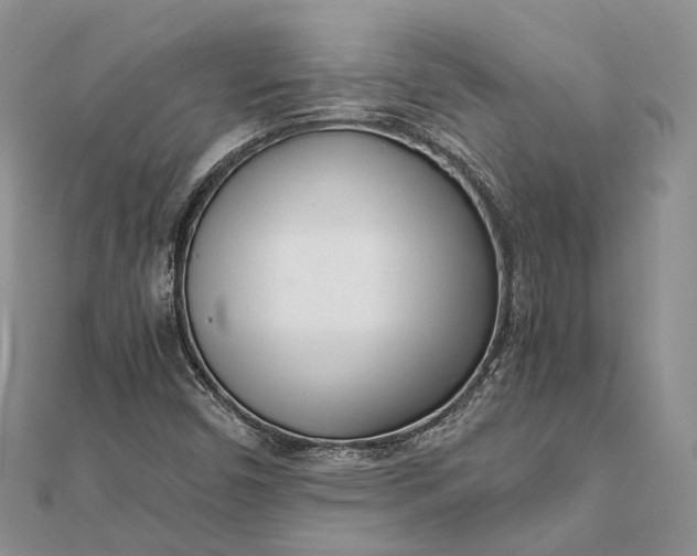 X0000111921450200908101211