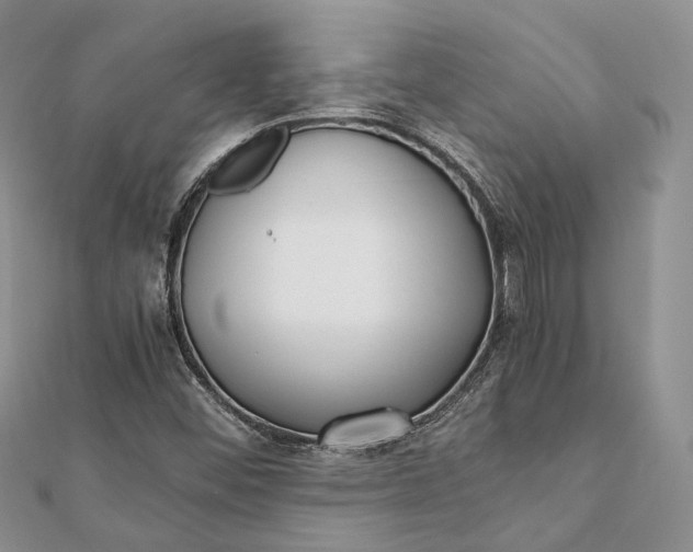 X0000111921452200908101211