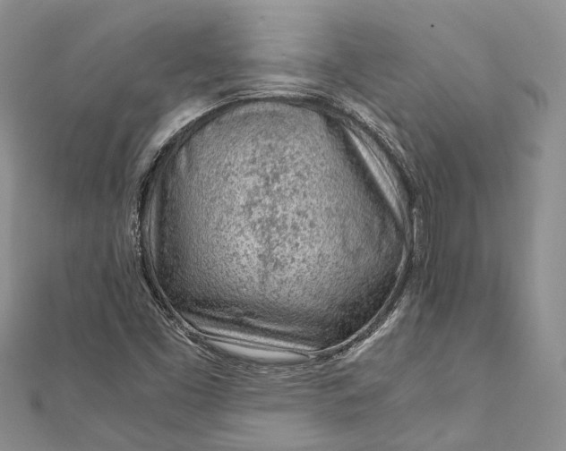 X0000111921453200908101211