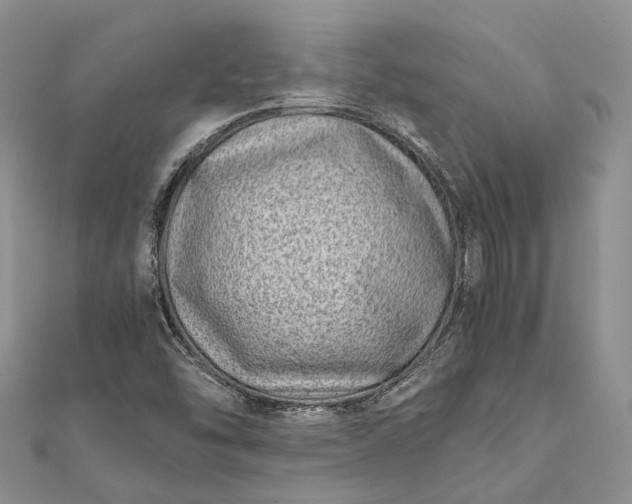 X0000111921454200908101211