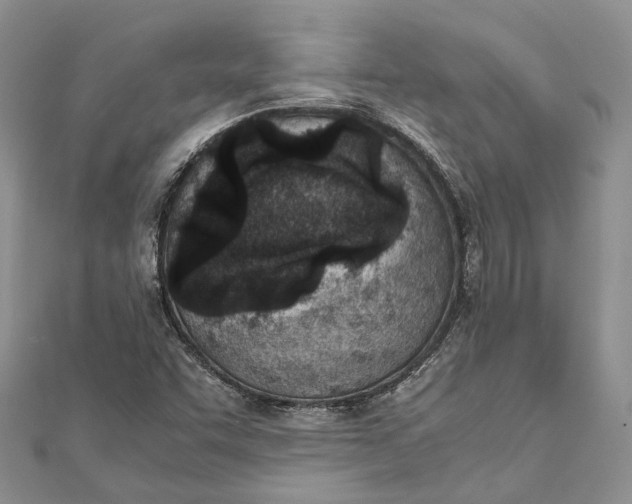 X0000111921455200908101211