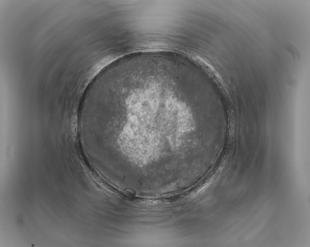 X0000111921457200908101211