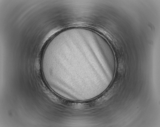 X0000111921458200908101211