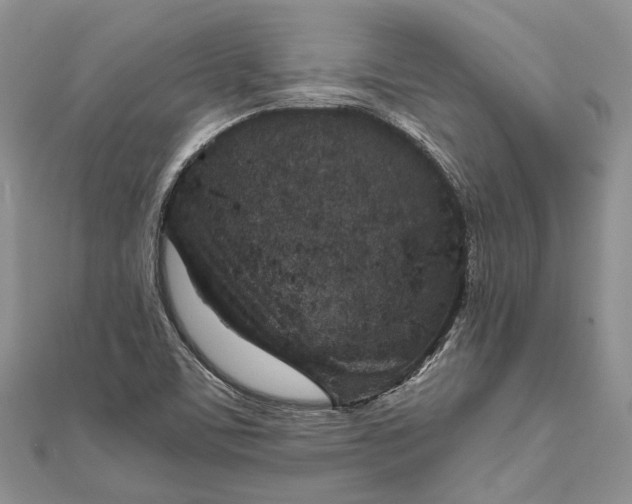 X0000111921459200908101211