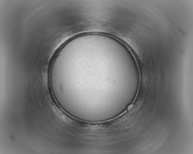 X0000111921460200908101211