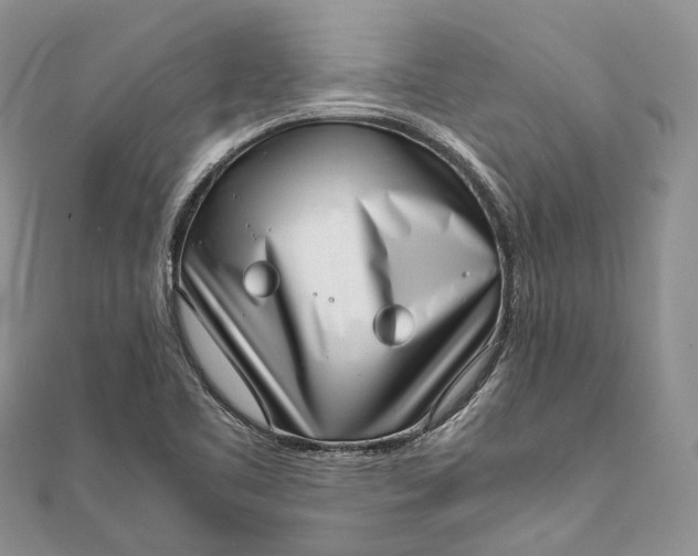 X0000111921461200908101211