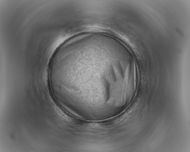 X0000111921463200908101211