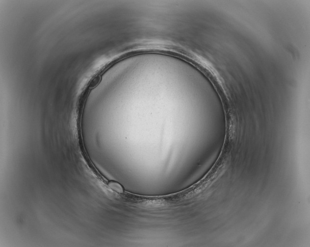 X0000111921464200908101211