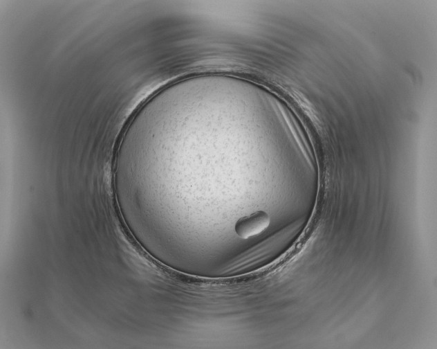 X0000111921465200908101211