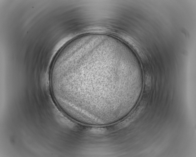 X0000111921466200908101211