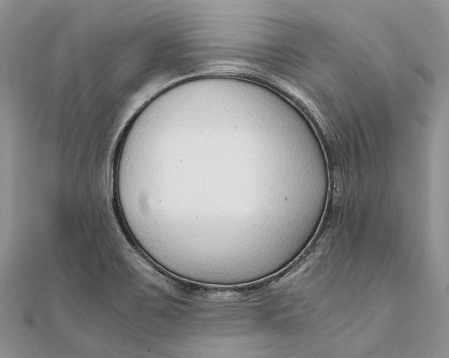 X0000111921467200908101211