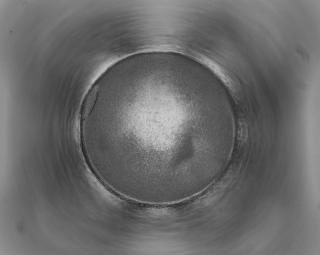 X0000111921468200908101211