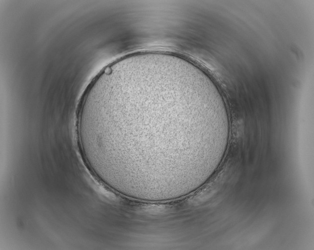 X0000111921470200908101211