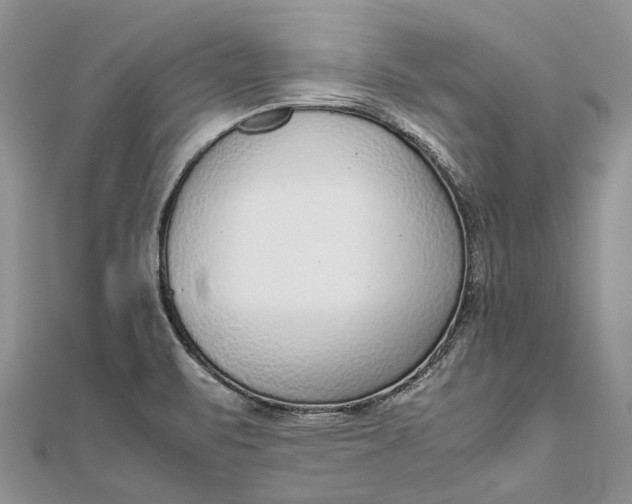 X0000111921471200908101211