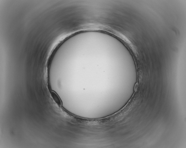 X0000111921472200908101211