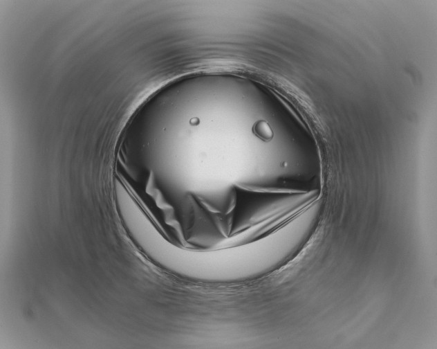 X0000111921473200908101211