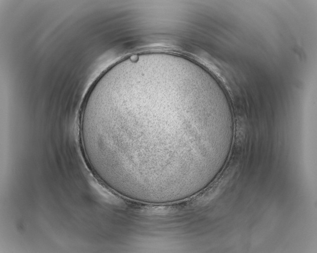 X0000111921474200908101211